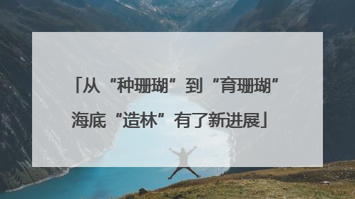 从“种珊瑚”到“育珊瑚” 海底“造林”有了新进展