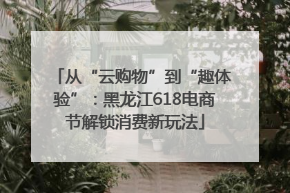 从“云购物”到“趣体验”：黑龙江618电商节解锁消费新玩法