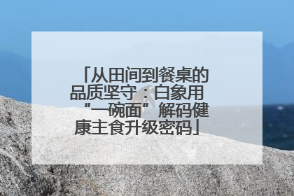 从田间到餐桌的品质坚守：白象用“一碗面”解码健康主食升级密码
