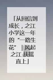 从回信到成长，之江小学这一年的“一路生花”｜风起之江 扶摇直上