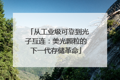 从工业级可靠到光子互连：美光颗粒的下一代存储革命