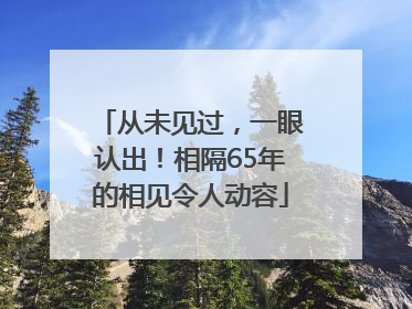 从未见过，一眼认出！相隔65年的相见令人动容