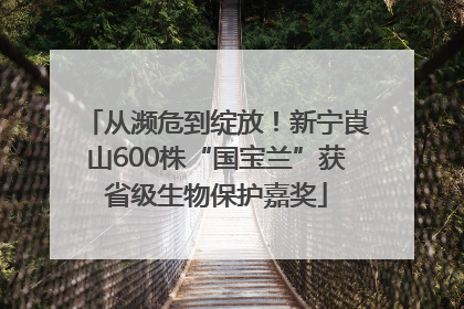 从濒危到绽放！新宁崀山600株“国宝兰”获省级生物保护嘉奖