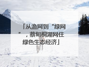 从渔网到“绿网”，蔡甸桐湖网住绿色生态经济