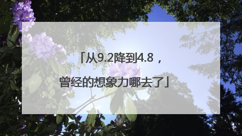 从9.2降到4.8，曾经的想象力哪去了