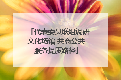 代表委员联组调研文化场馆 共商公共服务提质路径