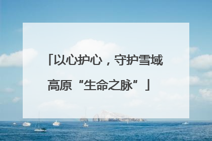 以心护心，守护雪域高原“生命之脉”