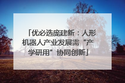 优必选庞建新：人形机器人产业发展需“产学研用”协同创新