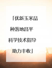 优新玉米品种落地昌平 科学技术指导助力丰收