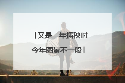 又是一年插秧时 今年图景不一般