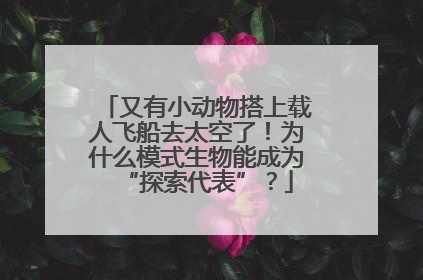 又有小动物搭上载人飞船去太空了！为什么模式生物能成为“探索代表”？