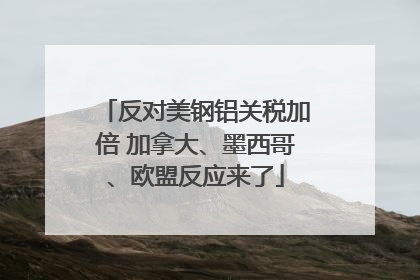反对美钢铝关税加倍 加拿大、墨西哥、欧盟反应来了