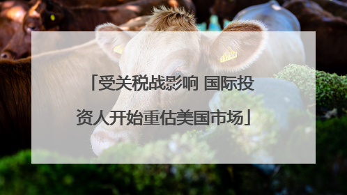 受关税战影响 国际投资人开始重估美国市场