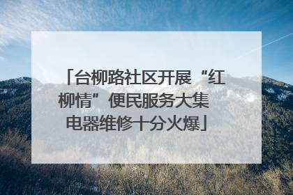 台柳路社区开展“红柳情”便民服务大集 电器维修十分火爆