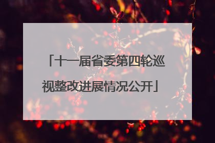 十一届省委第四轮巡视整改进展情况公开