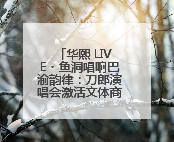华熙 LIVE・鱼洞唱响巴渝韵律：刀郎演唱会激活文体商融合新生态