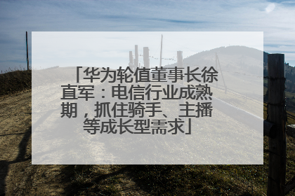 华为轮值董事长徐直军：电信行业成熟期，抓住骑手、主播等成长型需求