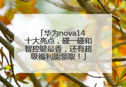 华为nova14十大亮点，碰一碰和智控键最香，还有超级福利能领取！
