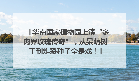 华南国家植物园上演“多肉界玫瑰传奇”，从呆萌树干到炸裂种子全是戏！