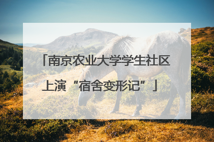 南京农业大学学生社区上演“宿舍变形记”