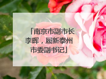 南京市副市长李晖，履新泰州市委副书记
