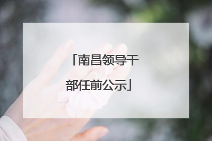 南昌领导干部任前公示