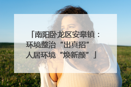 南阳卧龙区安皋镇：环境整治“出真招” 人居环境“焕新颜”