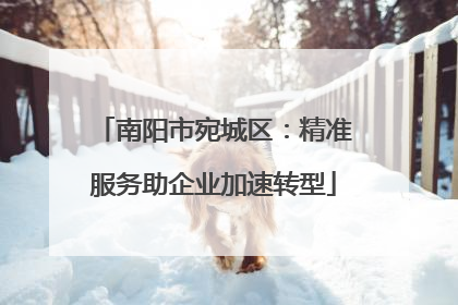南阳市宛城区：精准服务助企业加速转型