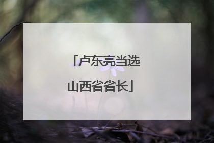 卢东亮当选山西省省长