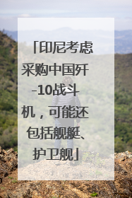 印尼考虑采购中国歼-10战斗机，可能还包括舰艇、护卫舰