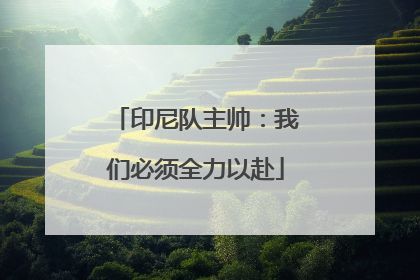 印尼队主帅：我们必须全力以赴