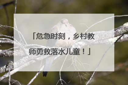 危急时刻，乡村教师勇救落水儿童！