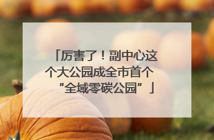 厉害了！副中心这个大公园成全市首个“全域零碳公园”