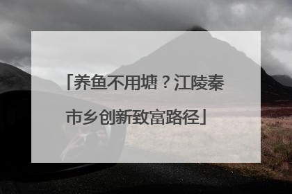 养鱼不用塘？江陵秦市乡创新致富路径