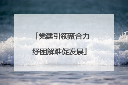党建引领聚合力 纾困解难促发展