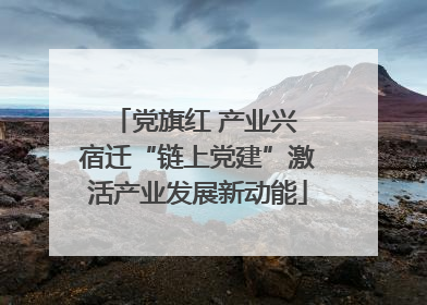 党旗红 产业兴 宿迁“链上党建”激活产业发展新动能