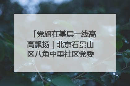 党旗在基层一线高高飘扬｜北京石景山区八角中里社区党委：用脚步丈量民生