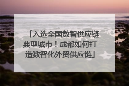 入选全国数智供应链典型城市！成都如何打造数智化外贸供应链