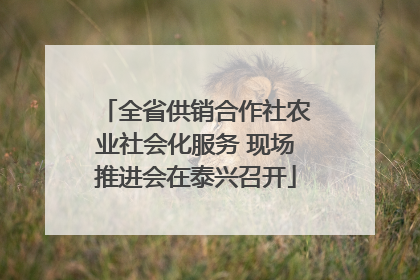 全省供销合作社农业社会化服务 现场推进会在泰兴召开