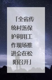 全省传统村落保护利用工作现场推进会在松阳召开