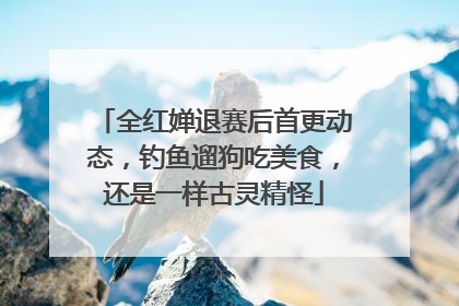 全红婵退赛后首更动态，钓鱼遛狗吃美食，还是一样古灵精怪