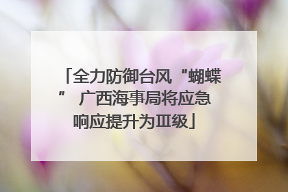全力防御台风“蝴蝶” 广西海事局将应急响应提升为Ⅲ级