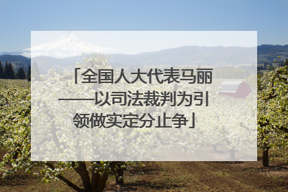 全国人大代表马丽——以司法裁判为引领做实定分止争
