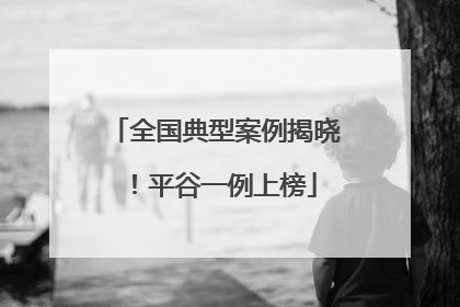 全国典型案例揭晓！平谷一例上榜