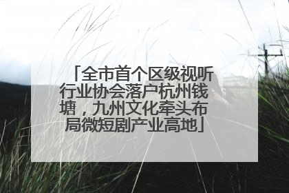 全市首个区级视听行业协会落户杭州钱塘，九州文化牵头布局微短剧产业高地