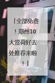 全部免费！郑州10大赏荷好去处推荐来啦！