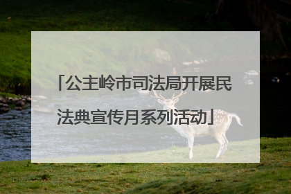 公主岭市司法局开展民法典宣传月系列活动