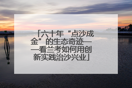 六十年“点沙成金”的生态奇迹——看兰考如何用创新实践治沙兴业