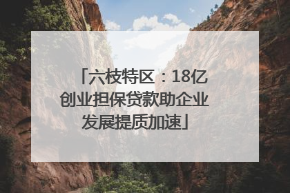 六枝特区：18亿创业担保贷款助企业发展提质加速