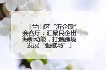 兰山区“沂企联”会客厅：汇聚民企出海新动能，打造跨境发展“强磁场”